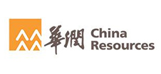 华润三九