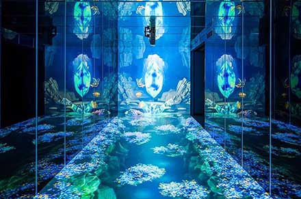 花生展厅 | 沉浸式通道2.0升级，超震撼裸眼3D视觉！